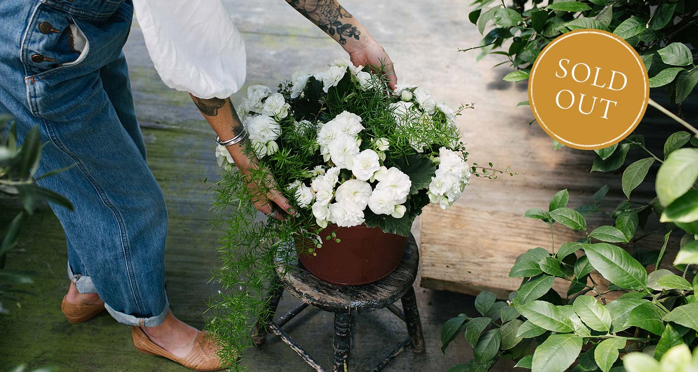 Garden Planters For Mom Workshop at Hoen's Garden Center