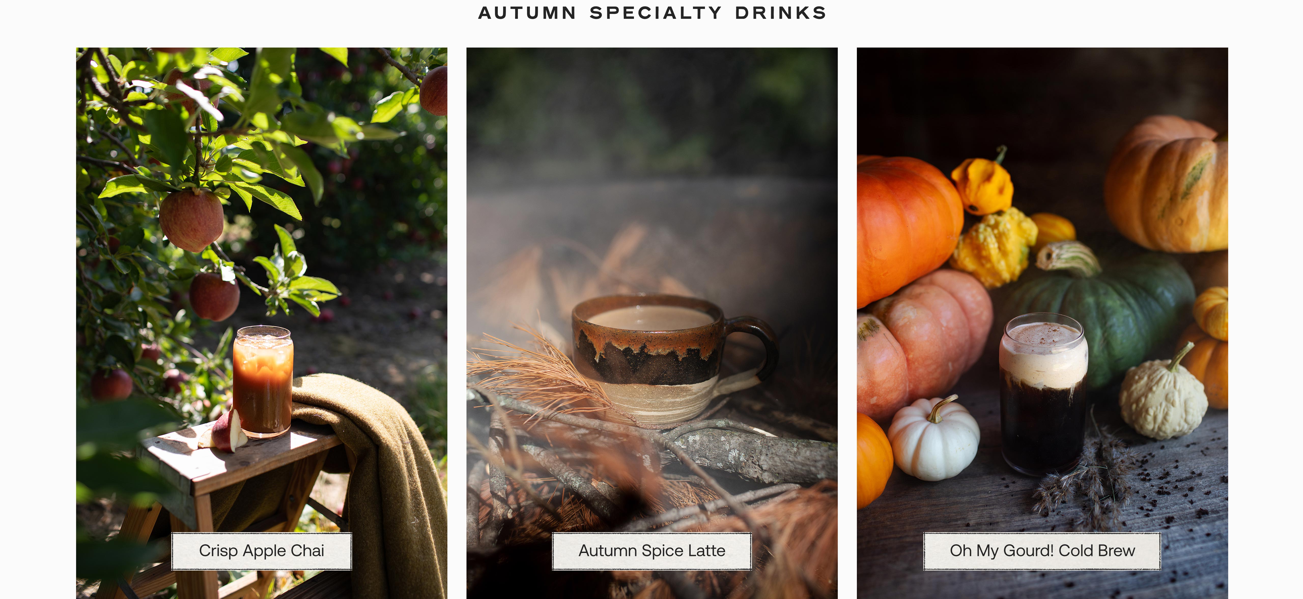 Autumn Specialty Drinks at Queen Bee & Honey Coffee