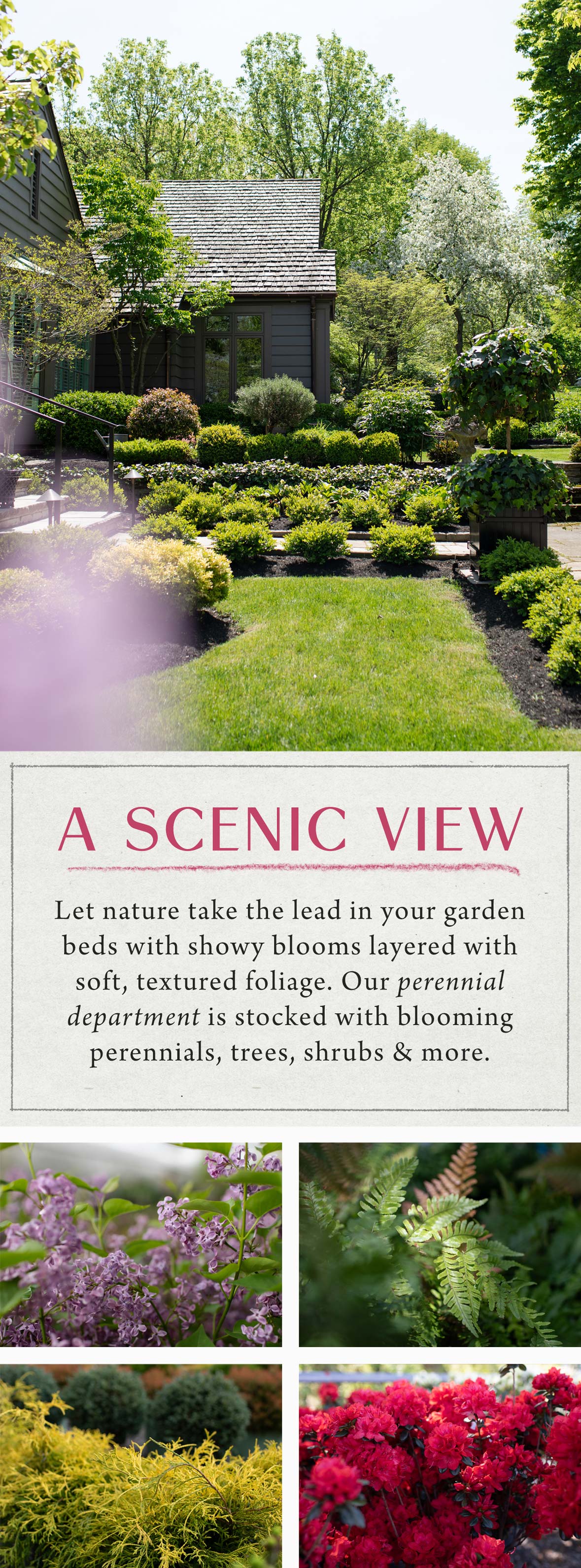 A Scenic View at Hoen's Garden Center