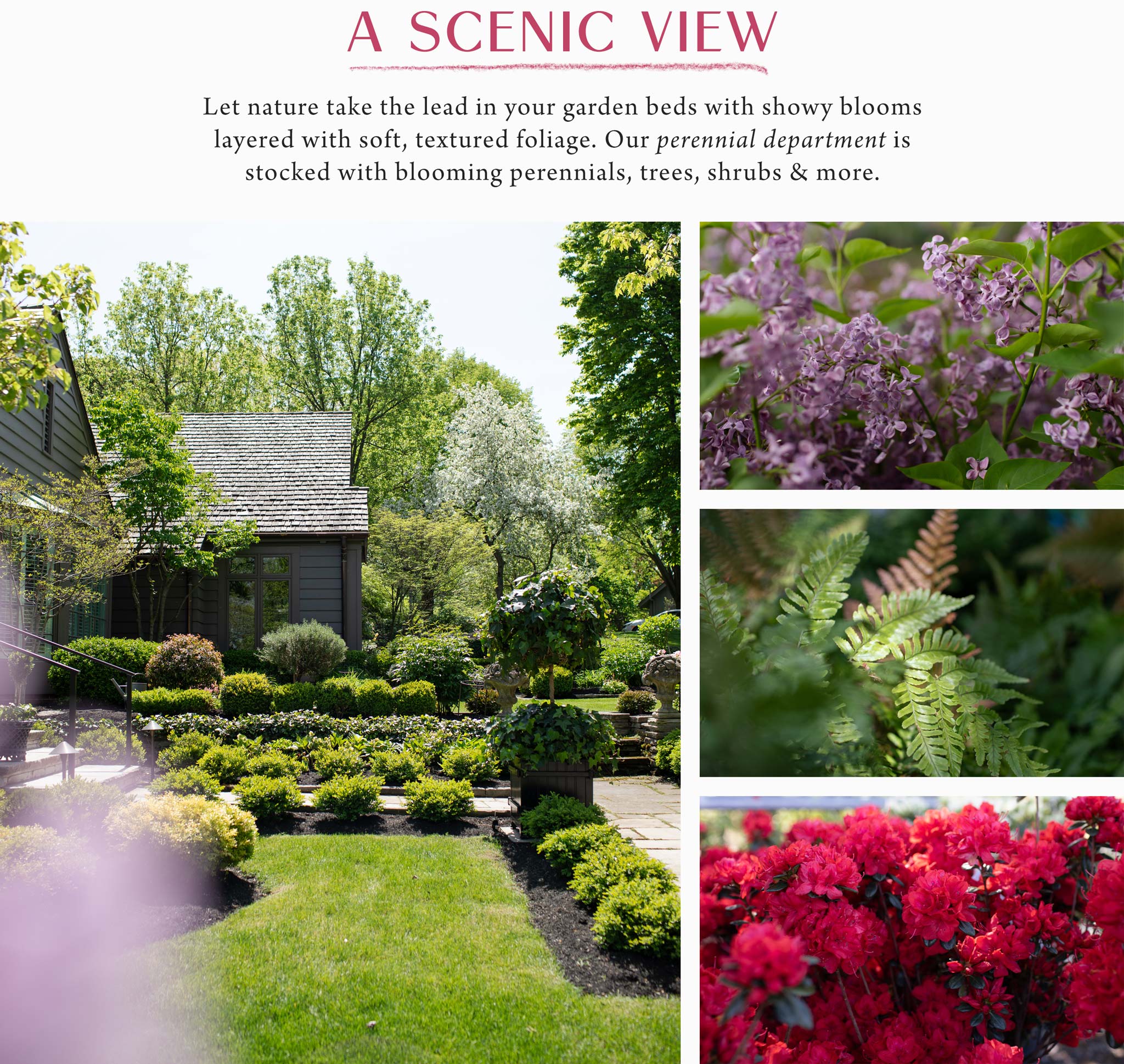 A Scenic View at Hoen's Garden Center