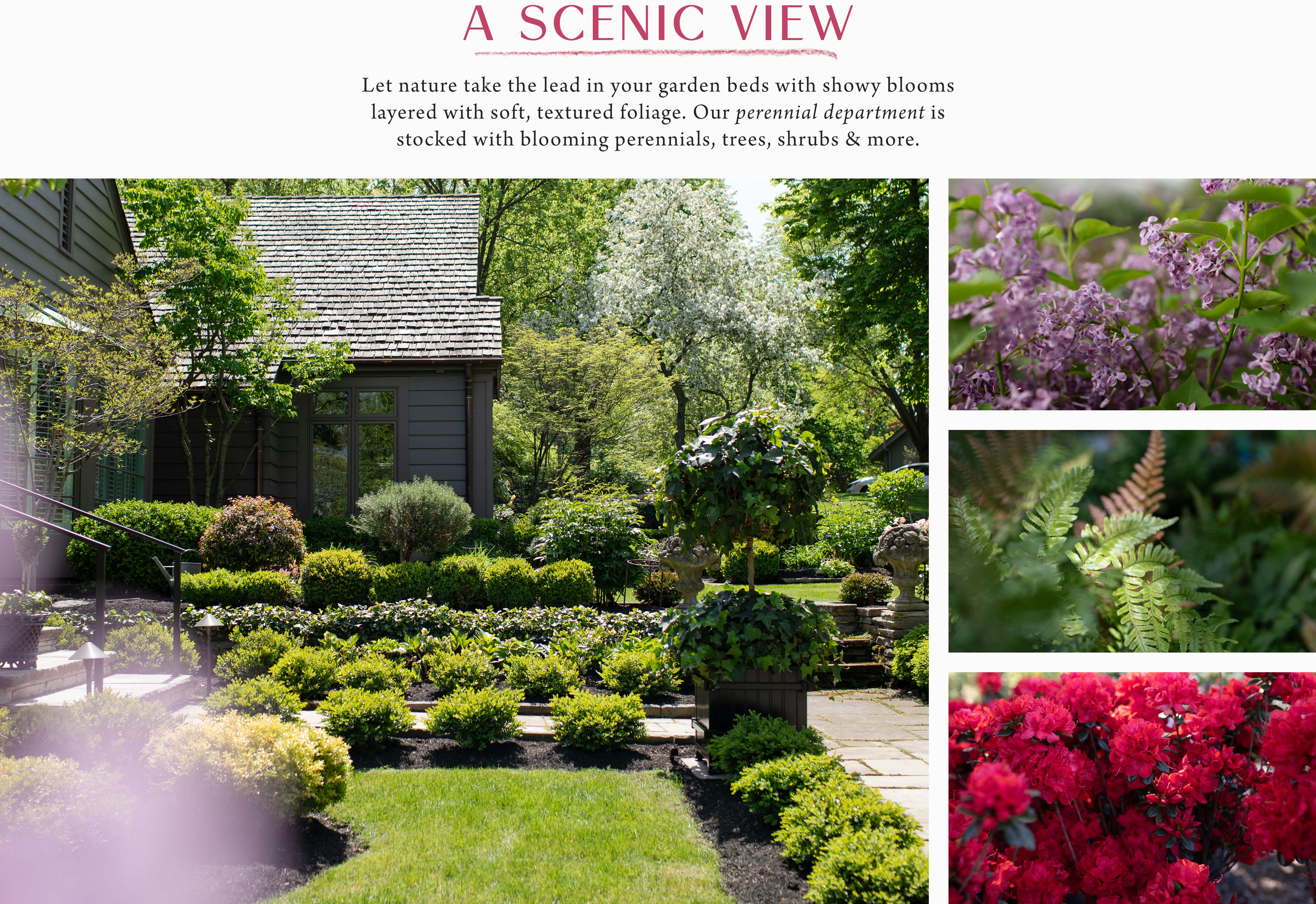 A Scenic View at Hoen's Garden Center