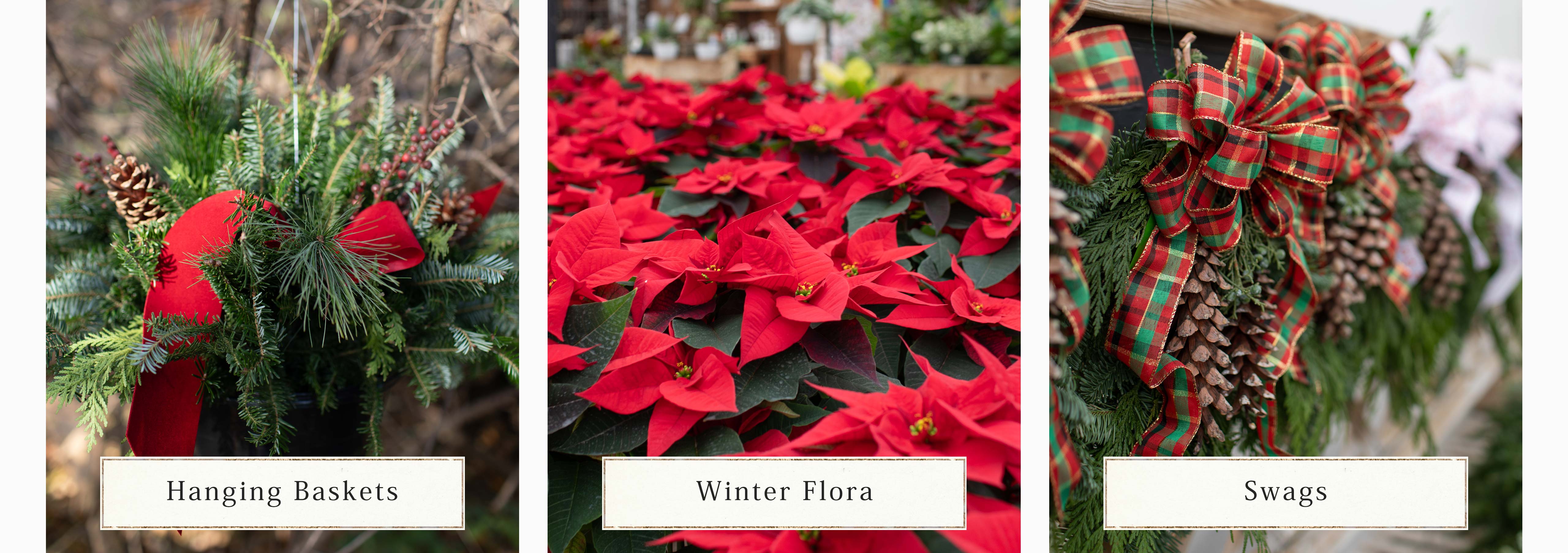 Hanging Baskets, Winter Flora and Swags at Hoen's Garden Center
