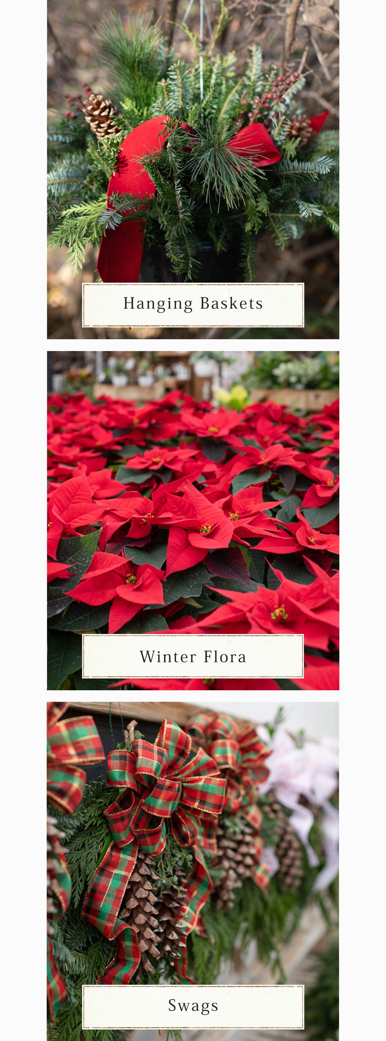 Hanging Baskets, Winter Flora and Swags at Hoen's Garden Center