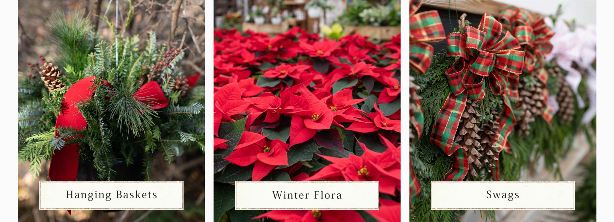Hanging Baskets, Winter Flora and Swags at Hoen's Garden Center