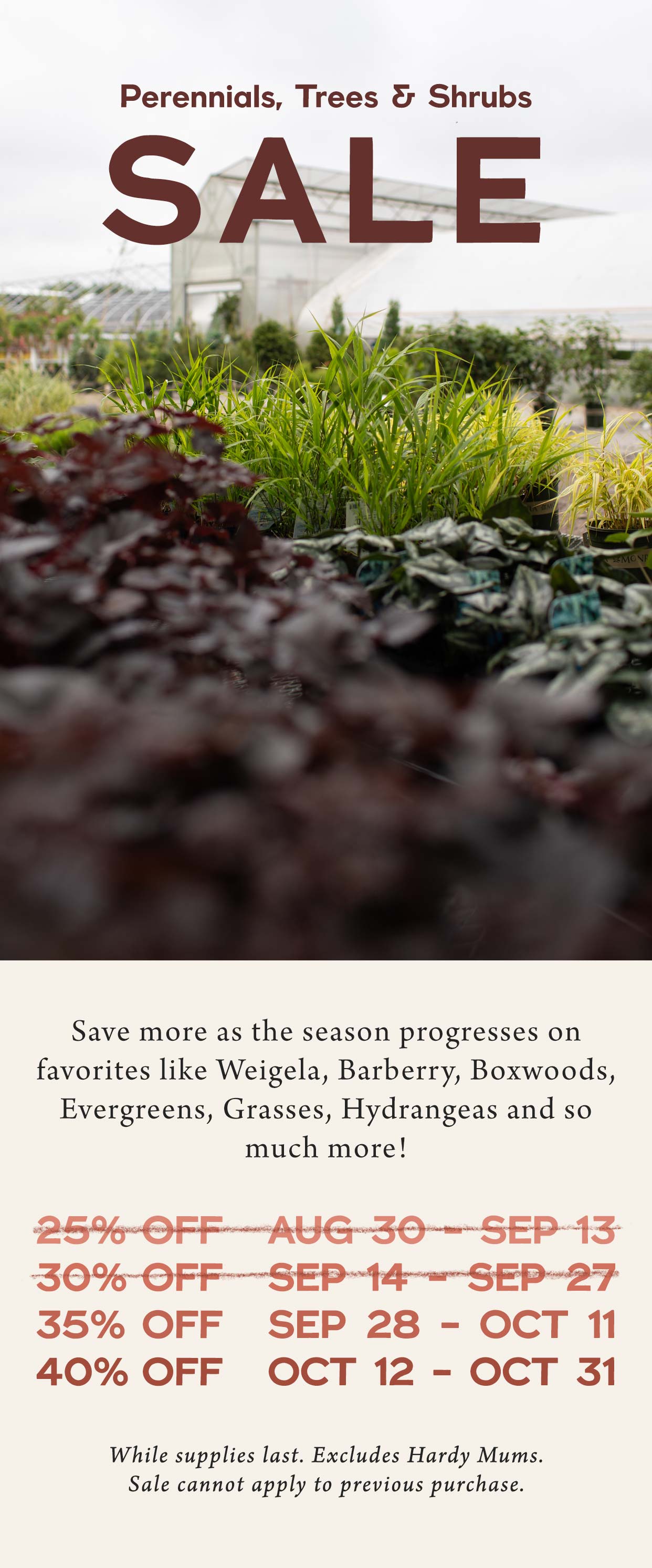 Perennials, Trees and Shrubs SALE at Hoen's Garden Center