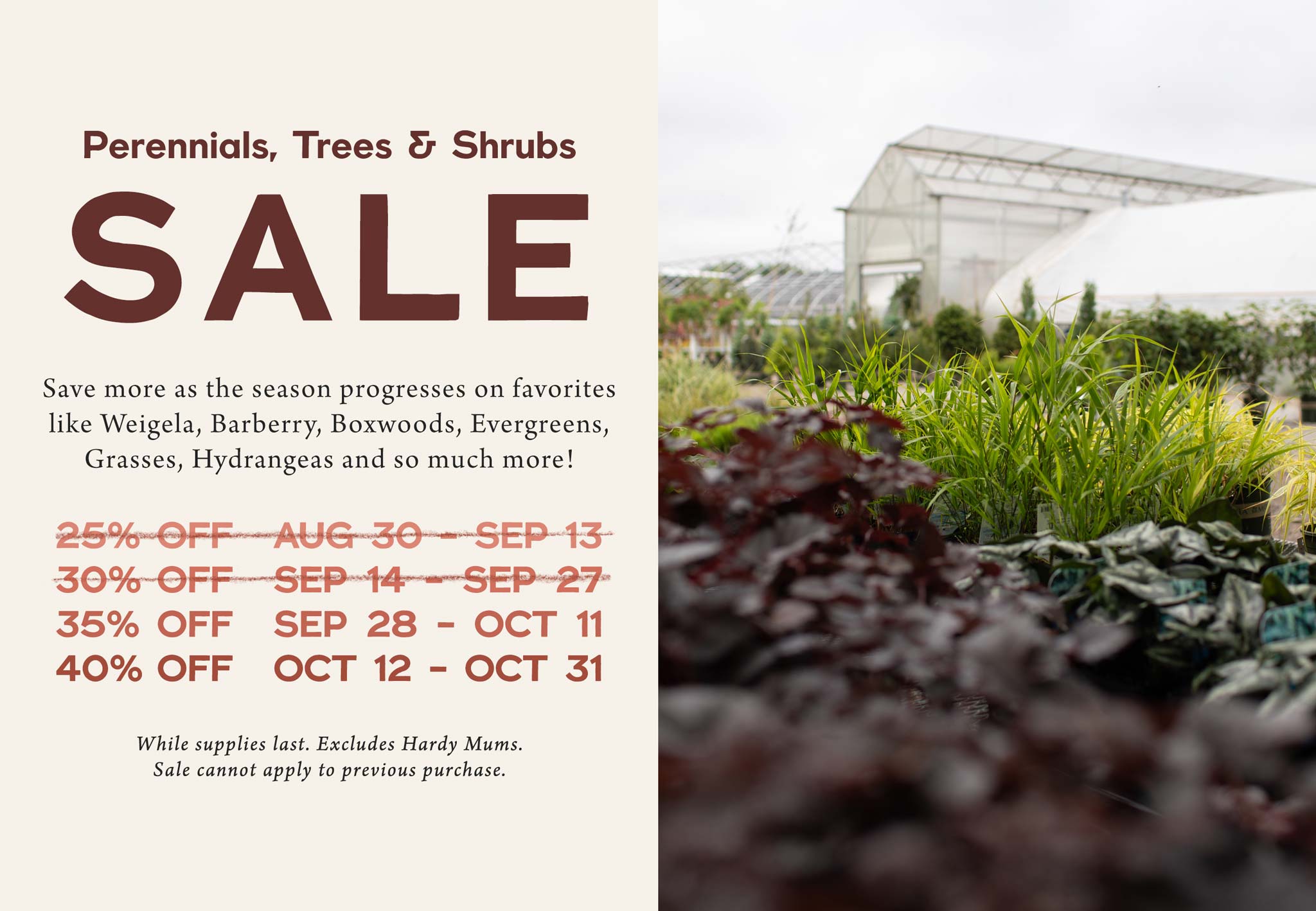 Perennials, Trees and Shrubs SALE at Hoen's Garden Center