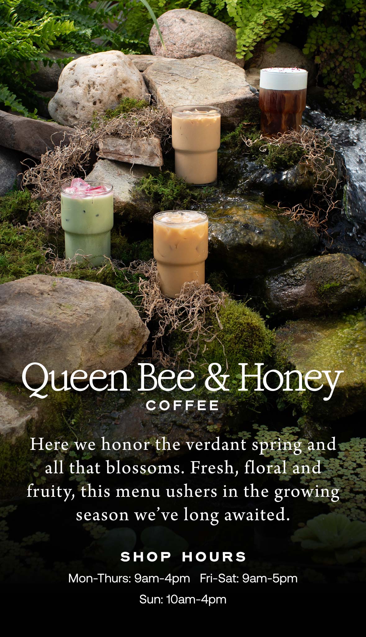 Queen Bee & Honey Coffee at Hoen's Garden Center