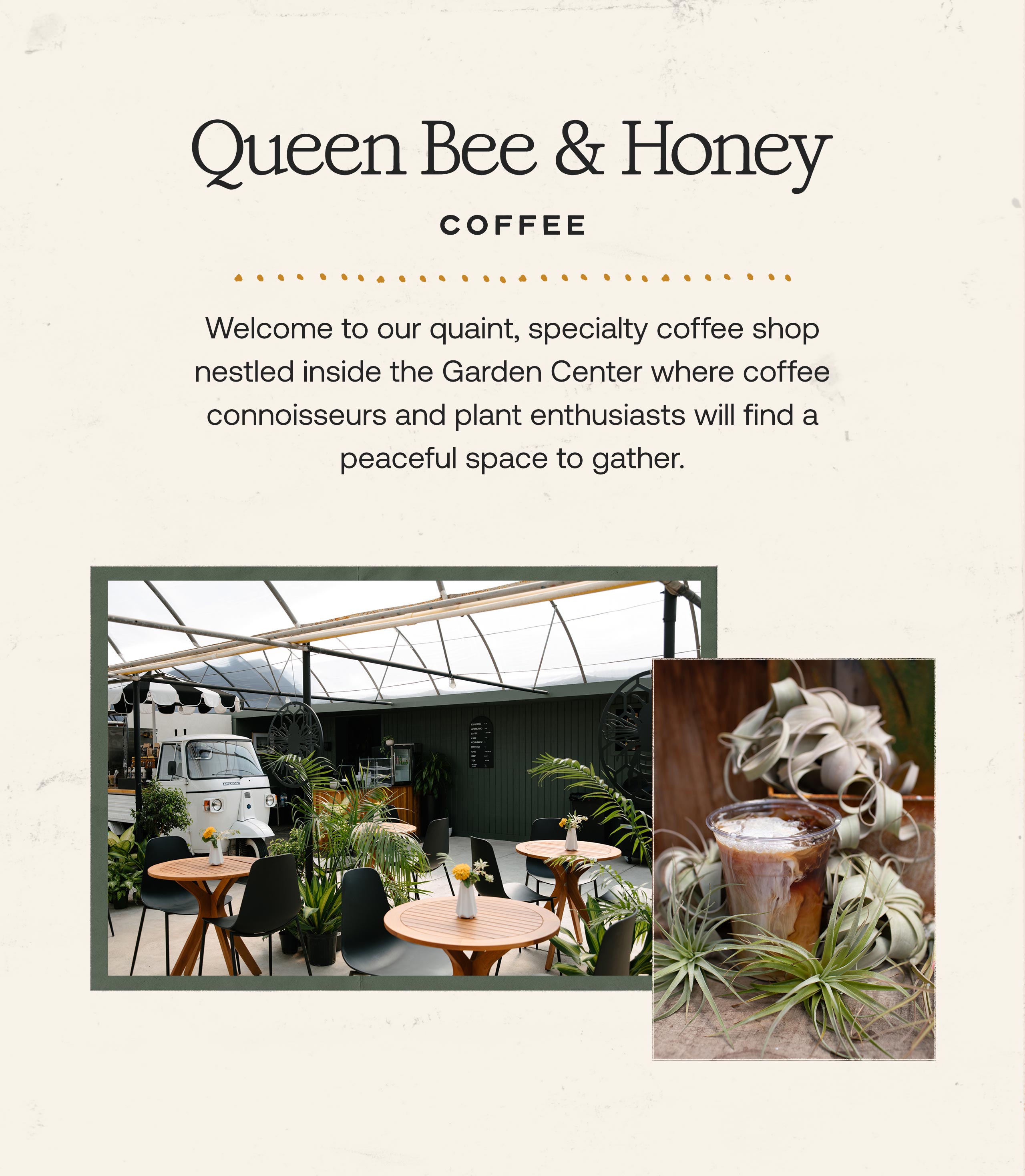 Queen Bee & Honey Coffee at Hoen's Garden Center