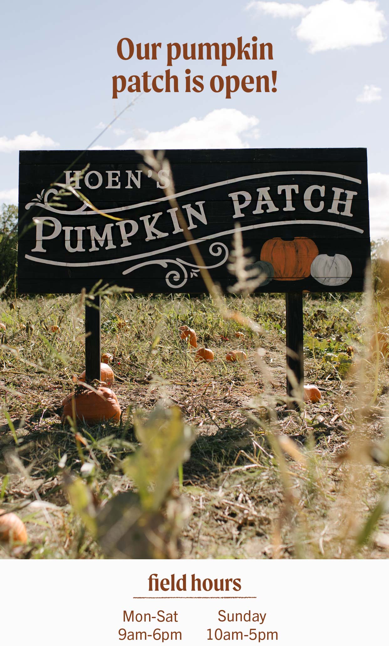 Pumpkin Patch at Hoen's Garden Center