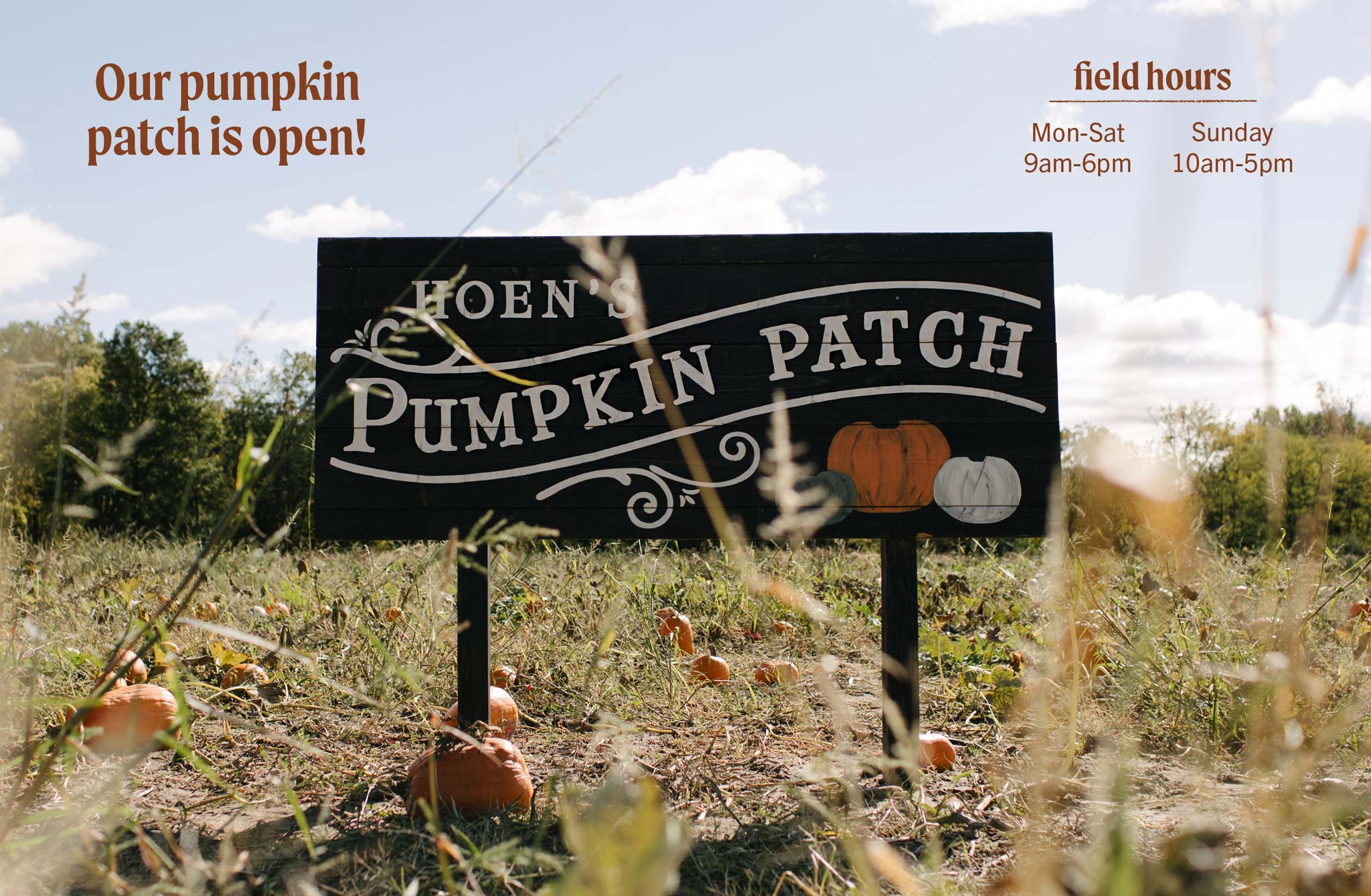 Pumpkin Patch at Hoen's Garden Center