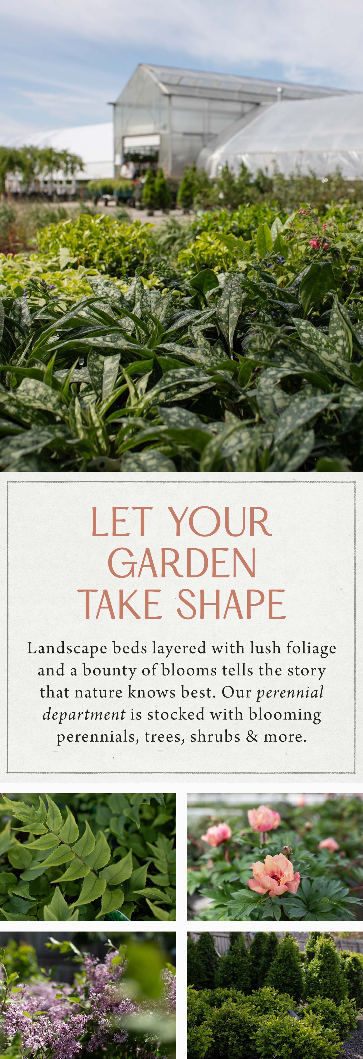 Let Your Garden Take Shape at Hoen's Garden Center